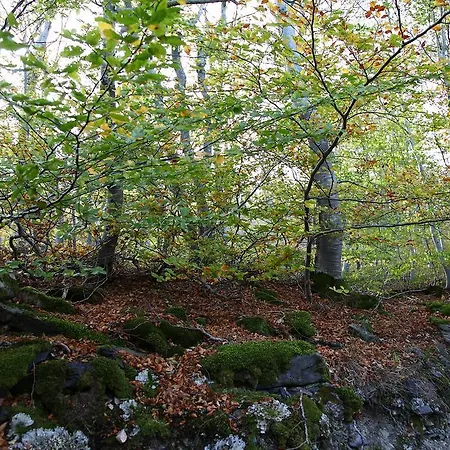 Mirador Sierra Del Madero Trebago